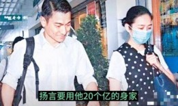 香港娱记爆料刘德华视频